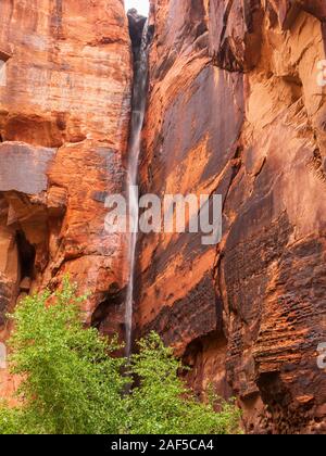 Cascata dopo la pioggia, fine della Johnson Canyon Trail, Snow Canyon State Park, San Giorgio, Utah. Foto Stock