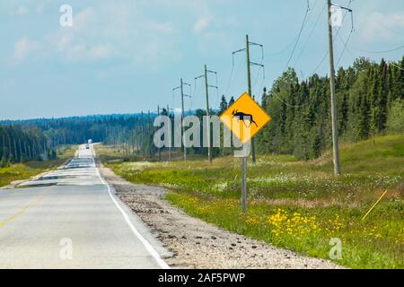 Avviso per le alci attraversando la strada, un segno sul ciglio della strada con torri di trasmissione e la foresta di conifere in background Foto Stock