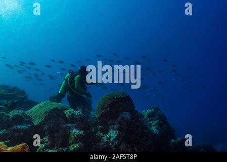 Coral reef scenario. Quasi la silhouette. Yap, Stati Federati di Micronesia Foto Stock