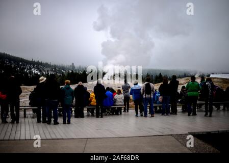 I visitatori osservano geyser Old Faithful's eruzione in Upper Geyser Basin, il Parco Nazionale di Yellowstone, STATI UNITI D'AMERICA Foto Stock