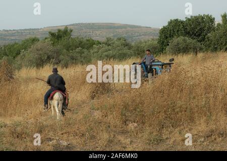 Palestinesi residenti in un campo sassoso infestati da erbacce di secco e spine fotografato in Cisgiordania vicino Gidi Junction Palestina / Israele Foto Stock