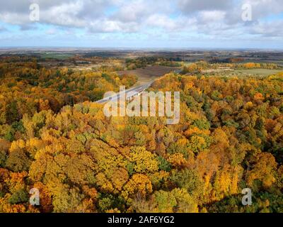 Autunno dorato foresta e una strada attraverso di esso, drone foto. La Russia, la regione di Kaliningrad, autostrada Berlinka Foto Stock