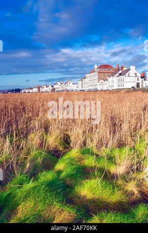 Una soleggiata vista su tutta la terra di palude di Parkgate sulla penisola di Wirral. Foto Stock