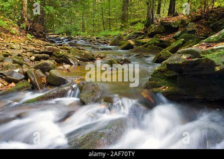 Una vista di caduta di Desoto cade nella foresta di Chattahoochee, Georgia, Stati Uniti d'America. Foto Stock