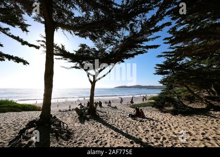 Carmel Beach, Spiaggia di Carmel-by-the-Sea, California, Stati Uniti Foto Stock