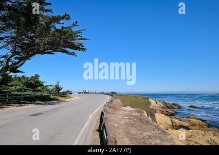 Costeggia il 17 Mile Drive, una strada costiera a pagamento sulla penisola di Monterey tra Carmel-by-the-Sea e Monterey, California, Stati Uniti Foto Stock