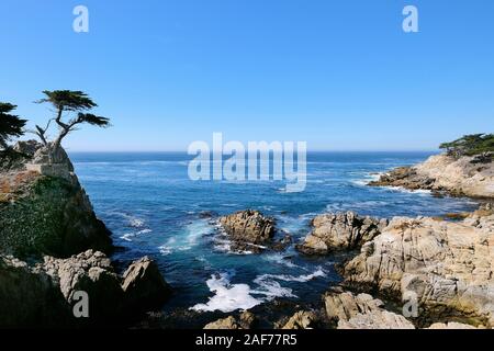 Costeggia il 17 Mile Drive, una strada costiera a pagamento sulla penisola di Monterey tra Carmel-by-the-Sea e Monterey, California, Stati Uniti Foto Stock