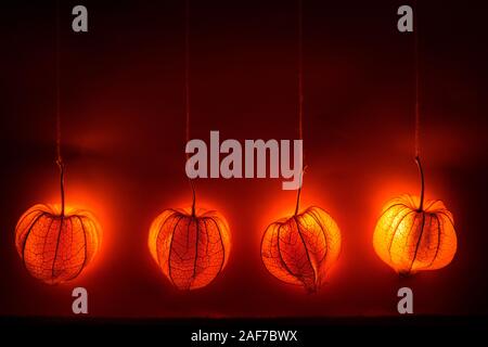 Appendere physalis - un arancione sogno lucido decor. Lo sfondo o il tema per l'autunno umore Foto Stock