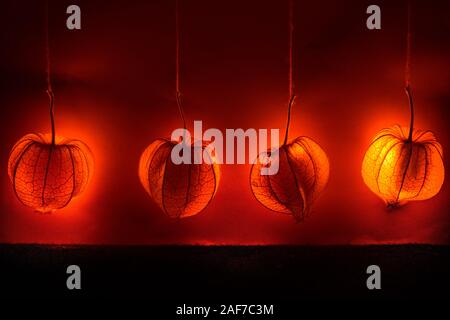Appendere physalis - un arancione sogno lucido decor. Lo sfondo o il tema per l'autunno umore Foto Stock