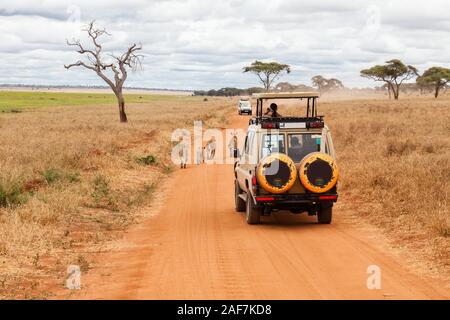 Tanzania. Parco Nazionale di Tarangire e. I turisti a guardare i Lions nei pressi di Silale palude. Foto Stock