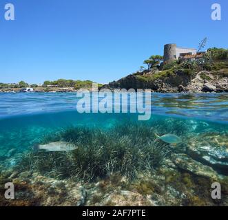 Spagna costa mediterranea con una casa a Cadaques e praterie con pesci di mare sottomarino, vista suddivisa al di sopra e al di sotto della superficie dell'acqua, Costa Brava Foto Stock