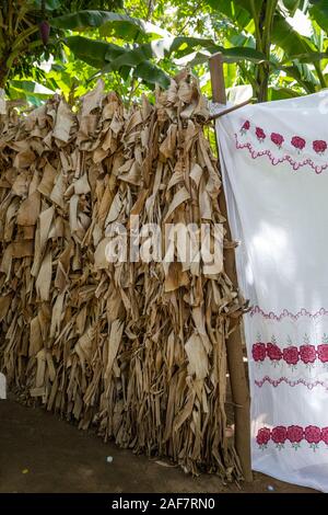 Tanzania. Mto Wa Mbu. Foglie di banano utilizzato per la scherma la costruzione. Foto Stock