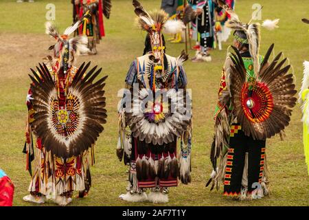 Ballerini con eriche di tacchino al Poarch Creek Indian Thanksgiving Pow Wow Foto Stock