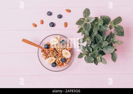 Ciotola di muesli sana colazione con dadi di mandorla, banane e mirtilli accanto a houseplant verde sulla tabella di rosa, vista aerea Foto Stock