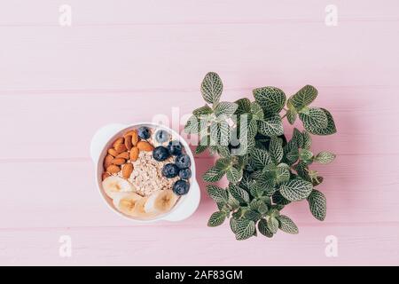 Vista in pianta sana colazione fiocchi d'avena con dadi di mandorla, mirtilli e banane vicino a pianta verde su sfondo rosa. Foto Stock