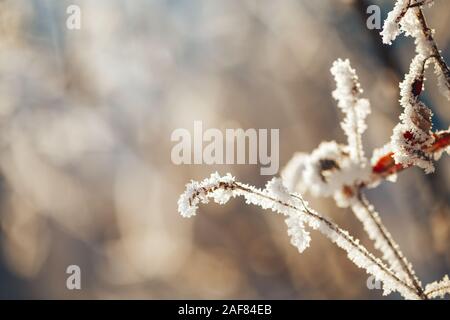 Paesaggio invernale con il pupazzo di neve alberi e cespugli Foto Stock