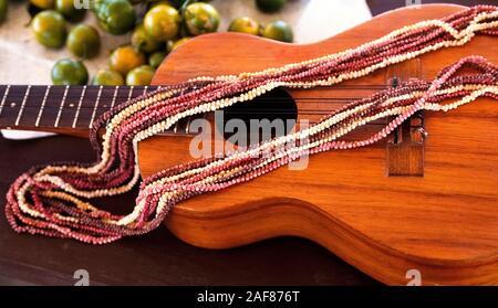 Una bella collana di multistranded di minuscoli e colorati di conchiglie è visualizzato in cima a un ukelele su Niihau, isolata Oceano Pacifico isola delle Hawaii, Stati Uniti d'America. Niihau autentici gioielli di shell è così unico che lo stato legge vieta di usare il nome Niihau per venderlo a meno che 100 percento dei gusci sono raccolti in quella piccola isola. Costo del guscio di Niihau gioielli - collane, bracciali, orecchini - varia da $100 a $30.000. Niihau è noto come il divieto di isola perché solo Niihauans nato sull'isola sono autorizzati a vivere lì e i visitatori sono limitati per le sue rive solo per poche ore. Foto Stock