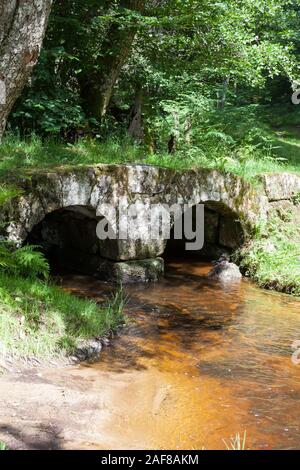 La storica pietra medievali Pont de Poupee nelle foreste vicino Valliere, Creuse, Nouvelle-Aquitaine, Francia, un ponte gallo-romana oltre un flusso Foto Stock