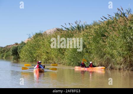 In canoa sul fiume Rio Grande, che scorre a nord-est nei pressi di Rio Grande villaggio, parco nazionale di Big Bend, Texas. Carrizo invasiva della canna da zucchero in banca. Foto Stock