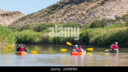 In canoa sul fiume Rio Grande, che scorre a nord-est nei pressi di Rio Grande villaggio, parco nazionale di Big Bend, Texas. Carrizo invasiva della canna da zucchero per le banche. Foto Stock