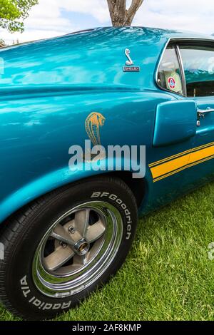 Un originale stock 1969 Shelby GT 500 Ford Mustang in Moab aprile azione Car Show in Moab Utah. Foto Stock