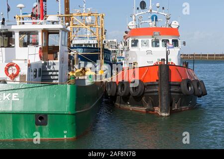 Hoernum, Hafen, Kutter Foto Stock