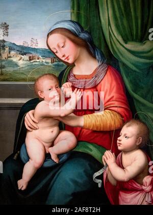 Madonna con Bambino e Neonato San Giovanni Battista di Antonio del Ceraiolo ( attivo c.1524), olio su pannello, c.1520 Foto Stock