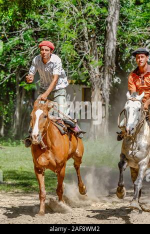 Gaucho cavaliere a cavallo durante un tradizionale concorso a Buenos Aires, Argentina Foto Stock