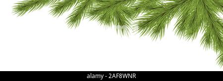 Ramo di abete su angolo superiore destro con sfondo bianco, modello per Natale i concetti di tempo Illustrazione Vettoriale