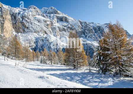 Il Passo Sella è il terzo di sette di montagna delle Dolomiti passa piloti cross nell'annuale Maratona dles Dolomites a singolo giorno gara ciclistica. Foto Stock