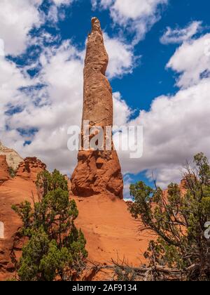 Ballerina guglia, sentiero panoramico, Kodachrome Basin, Cannonville, Utah. Foto Stock