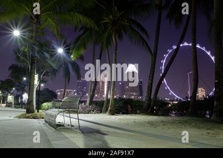 Alleggerita flayer ruota, durante la notte circondato da palme durante la notte nei giardini della baia di Singapore Foto Stock