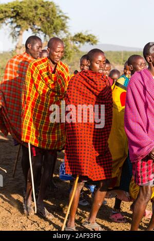 Tanzania. Villaggio masai di Ololosokwan, Nord del Serengeti. Maschio eseguendo gli abitanti di un villaggio accogliente danza. Foto Stock