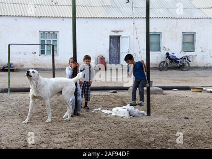 I bambini al villaggio Erbent nelle zone rurali il deserto del Karakum area del Turkmenistan Foto Stock