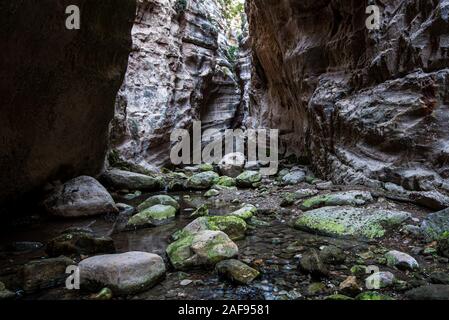 Il famoso, bello e pittoresco Avakas gorge alla penisola di Akamas , distretto di Paphos in Cipro Foto Stock