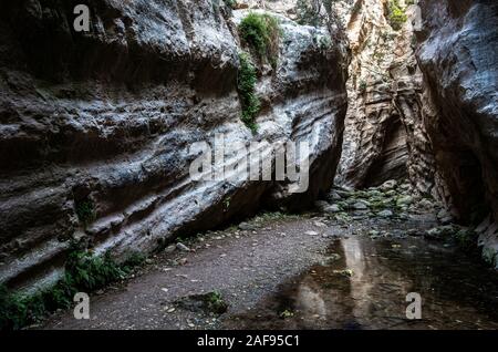 Il famoso, bello e pittoresco Avakas gorge alla penisola di Akamas , distretto di Paphos in Cipro Foto Stock