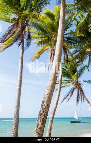 Un tradizionale saveiro-stile di legno dei Caraibi barca vela ormeggiato Nortnern fine beach, Little Corn Island, Caraibi Nicaraguense Foto Stock