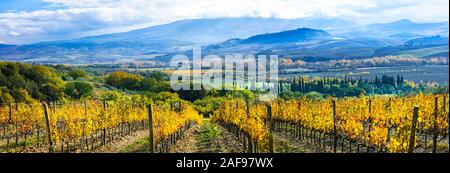 Suggestivo paesaggio della Toscana,vicino a Montalcino village,l'Italia. Foto Stock