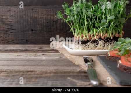 In crescita i germogli di pisello in nero del suolo. Mangiare sano,vegetariani concetto. In legno su sfondo nero Foto Stock
