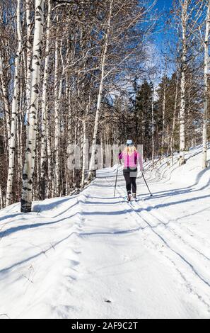 Una donna lo sci di fondo sui sentieri vicino a Sun Mountain Lodge in Methow Valley, nello Stato di Washington, USA. Foto Stock