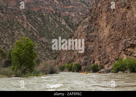 Rafting attraverso le porte di Ladore sul fiume Verde in Dinosaur National Monument in Colorado. Foto Stock