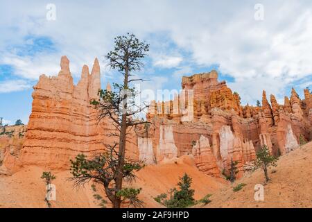 Escursioni nella bellissima Queens Garden Trail del parco nazionale di Bryce Canyon in Utah Foto Stock