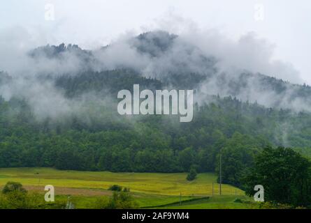 Cime di montagna con verdi alberi coperti dalla nebbia - Alpi Svizzere durante la tarda estate Foto Stock