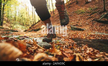 Basso angolo di visione di un escursionista che attraversano la foresta in streaming in autunno Foto Stock