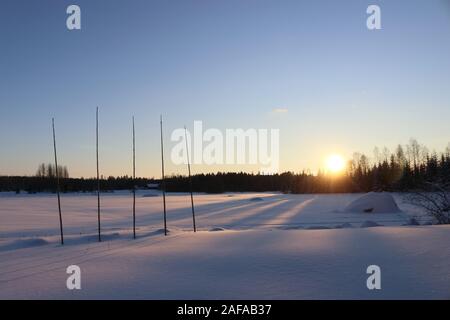 Cinque alti pali di legno nel paesaggio invernale. Durante la stagione estiva i poli sono utilizzati come supporto di impianti per il settore del luppolo. Foto Stock