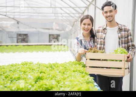 Asian coppia giovane agricoltore in serra idroponica cestello di contenimento di origine vegetale. Essi sono la raccolta degli ortaggi insalata verde. Foto Stock