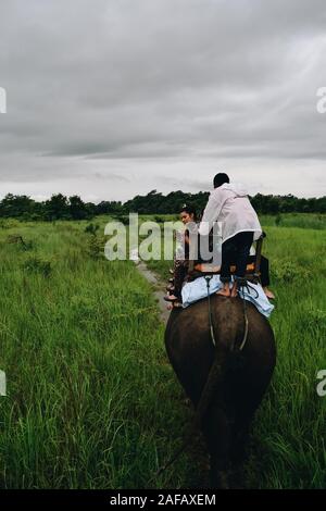 Persone in un safari con elefanti in Nepal Foto Stock