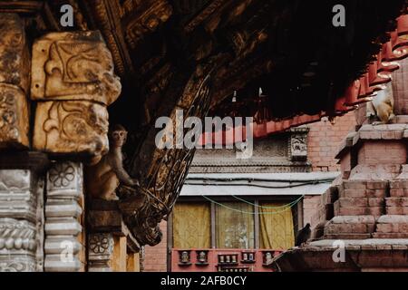 Scimmietta nascosti nel tempio delle scimmie in Nepal Foto Stock