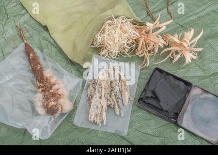 Bushcraft survival firelighting materiali. Feathersticks, infiammabile pino di Monterey, resina di lana di legno, giunco cat's-tail tinder, charcloth, firesteel. Foto Stock