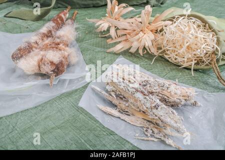 Bushcraft survival firelighting materiali - feathersticks, raccolte naturali Monterey infiammabili di resina di pino, lana di legno, giunco / gatto-tail tinder. Foto Stock